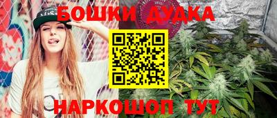 стафф Моздок