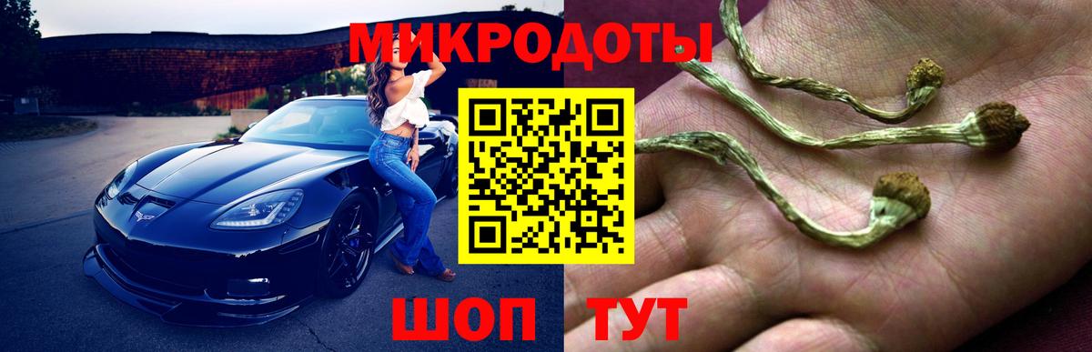 Псилоцибиновые грибы Magic Shrooms  Вход с VPN  Черкесск 