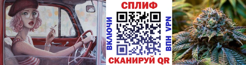 mega как войти Черкесск МАРИХУАНА SATIVA & INDICA где продают наркотики